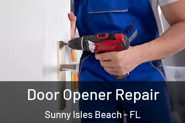  Door Opener Repair Sunny Isles Beach - FL